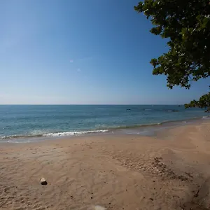 https://chal-do-litoral.santa-catarina-brasil.com